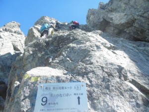 カニのたてばい_001