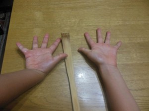 孫の手DSCN6204_001