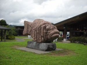 巨大魚DSCN0542_001