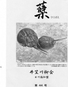 ひこばえ　表紙img216_001