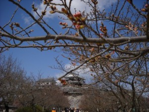 松山城の桜_001