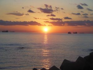 だるまもどき_001