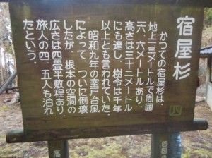 宿屋杉DSCN7262_001