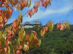 ９月の松山城DSCN6387_001