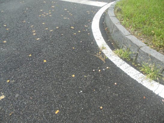 台風１６号　１_001