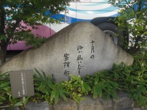 子規　３DSCN6406_001