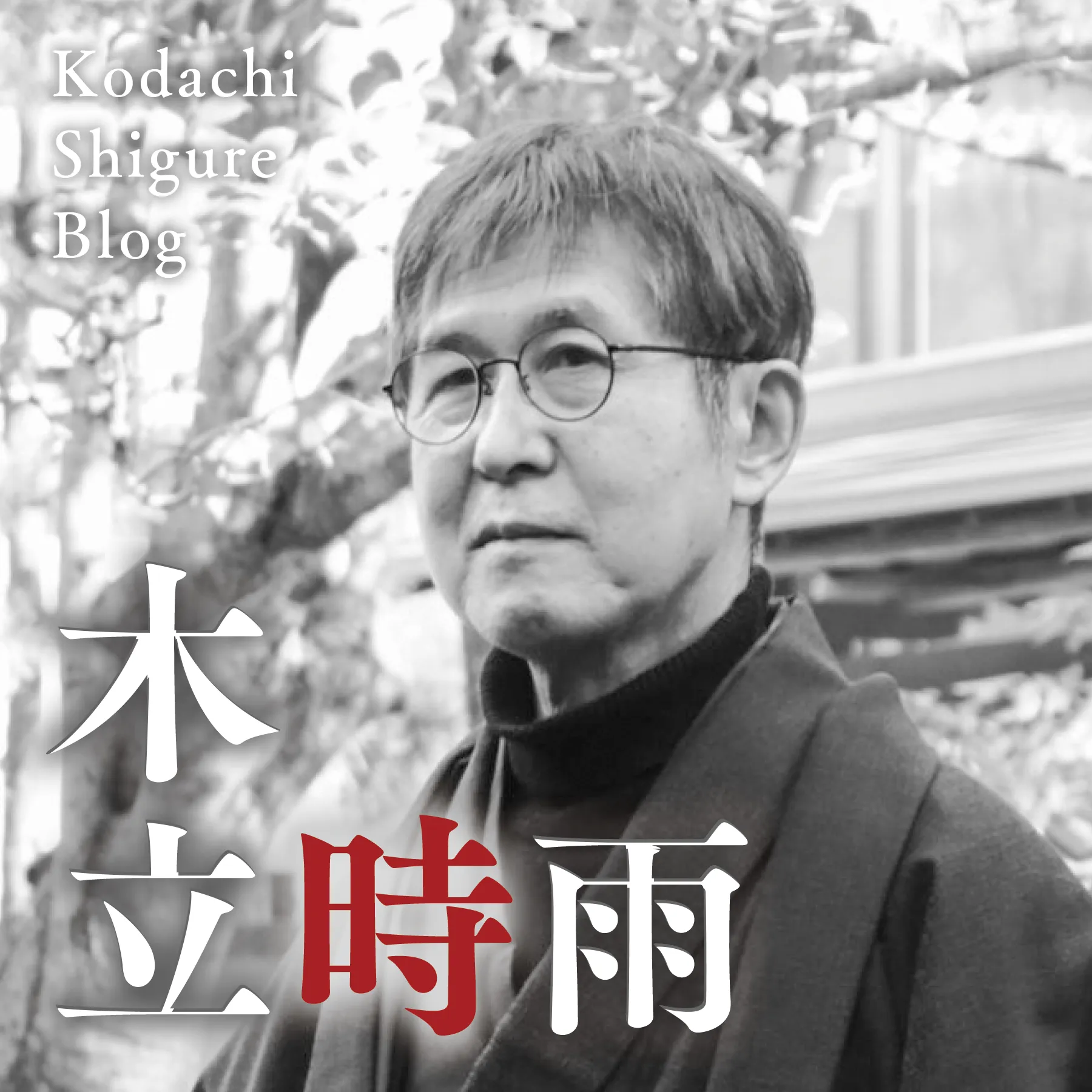 木立時雨