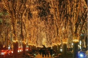 １４１２３１仙台でーた（光１）img030