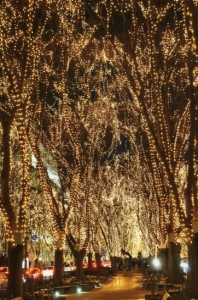 １４１２３１仙台でーた（光２）img031